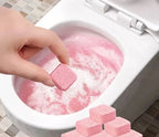 Toilet Cleaning Tablets