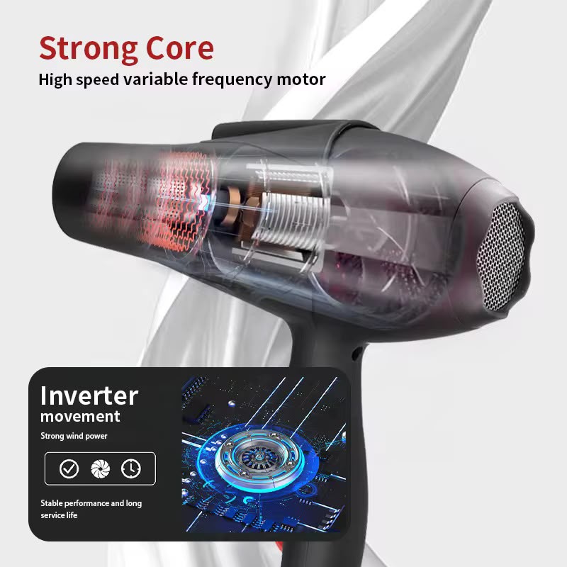 Hair Dryer (Model X6 Plus)
