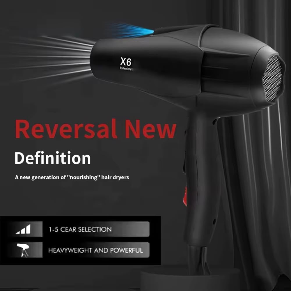 Hair Dryer (Model X6 Plus)