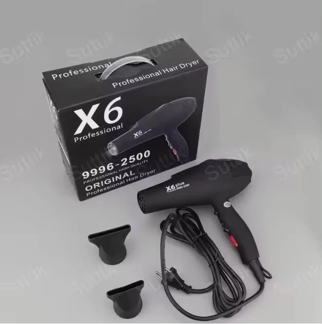 Hair Dryer (Model X6 Plus)