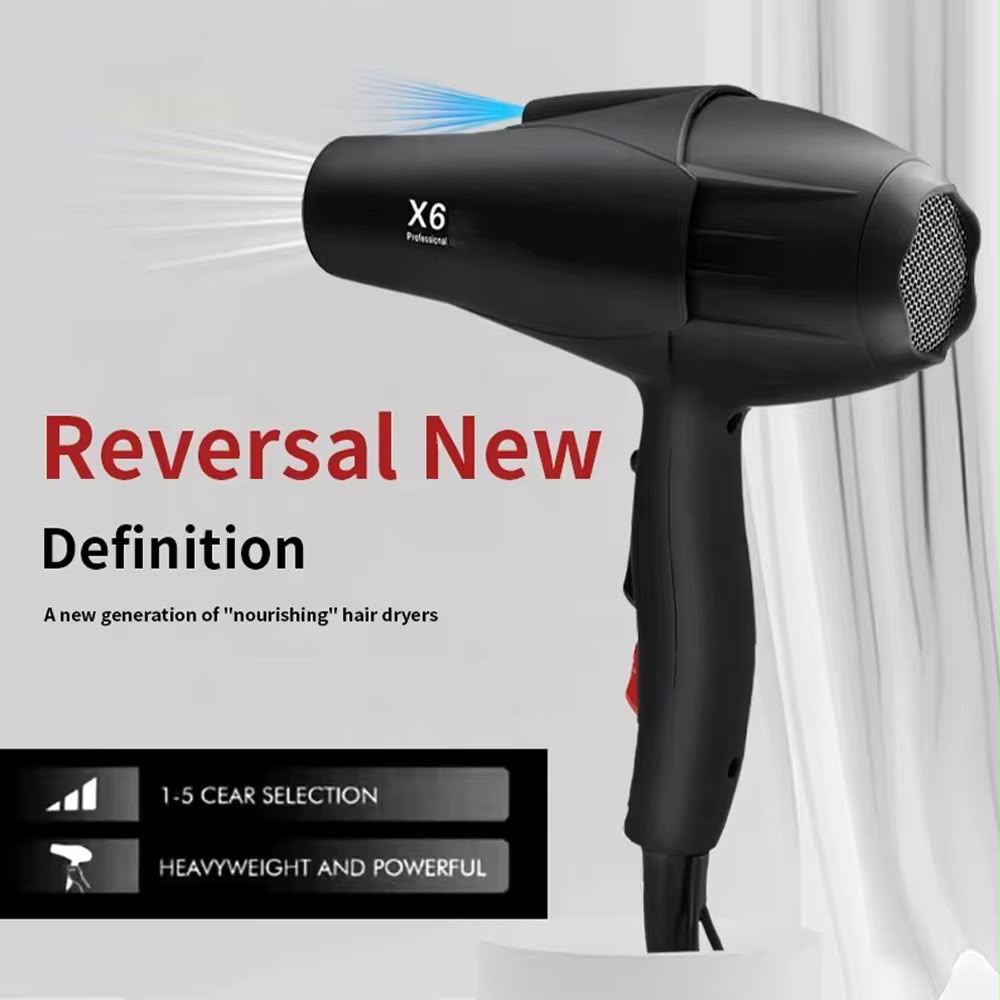 Hair Dryer (Model X6 Plus)