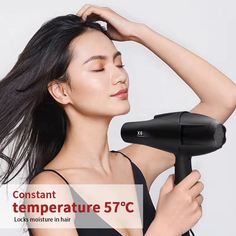Hair Dryer (Model X6 Plus)