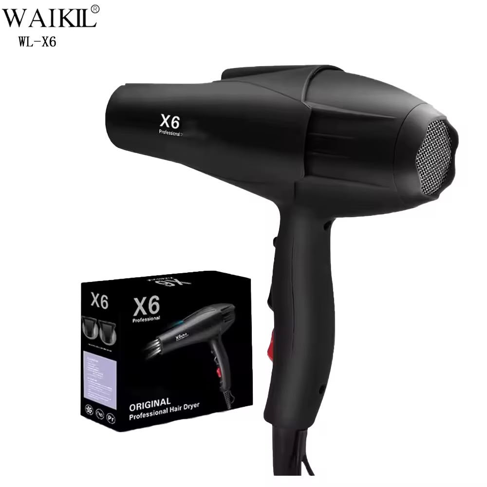Hair Dryer (Model X6 Plus)