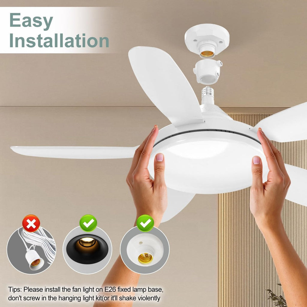 Ceiling Fan Lights