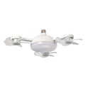 Ceiling Fan Lights