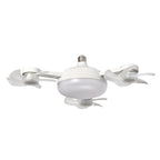 Ceiling Fan Lights