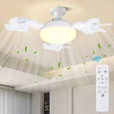 Ceiling Fan Lights