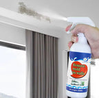 Wall Mold Removal Spray (500ml)