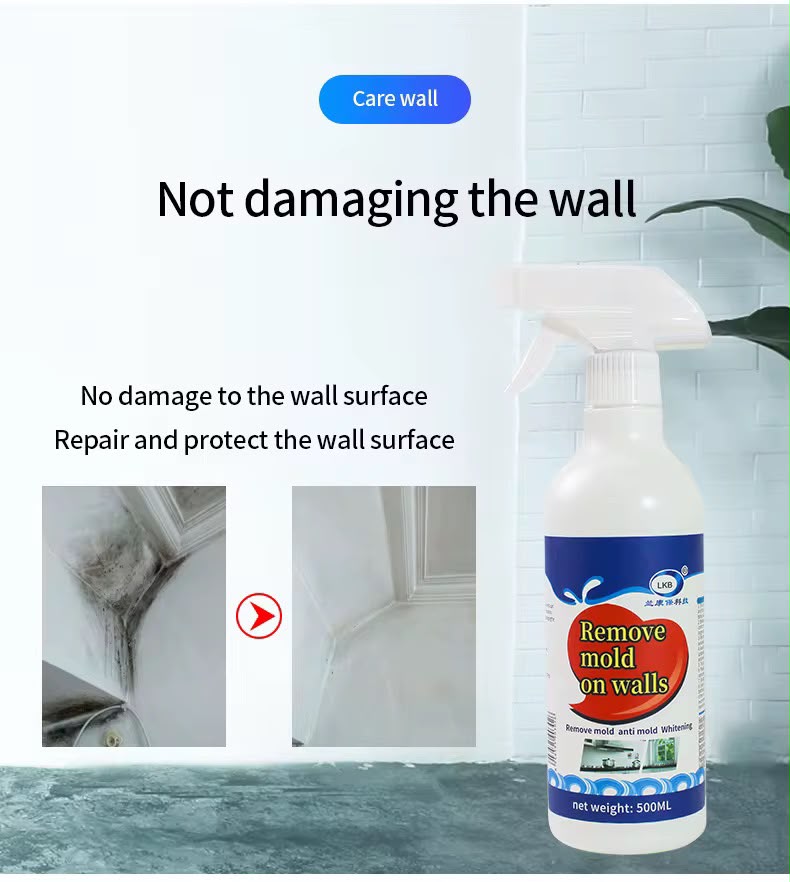 Wall Mold Removal Spray (500ml)