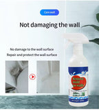 Wall Mold Removal Spray (500ml)