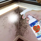 Wall Mold Removal Spray (500ml)