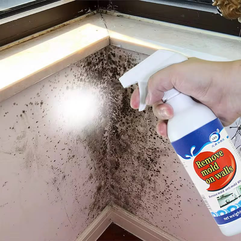 Wall Mold Removal Spray (500ml)
