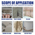 Wall Mold Removal Spray (500ml)